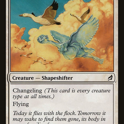 Avian Changeling