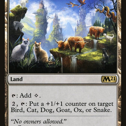 Animal Sanctuary