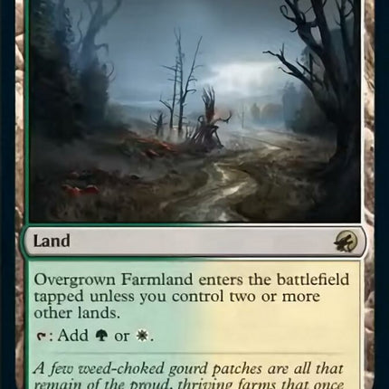 Overgrown Farmland