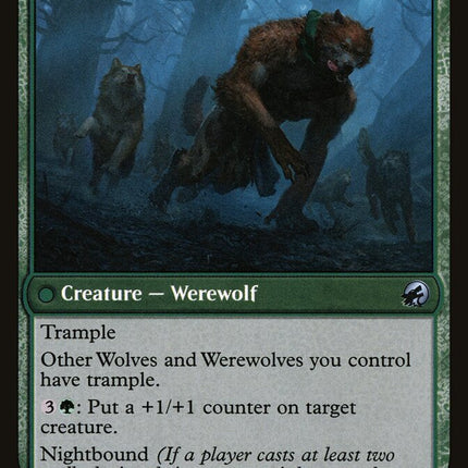 Hound Tamer (Back)