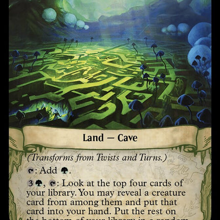 Twists and Turns (Back)