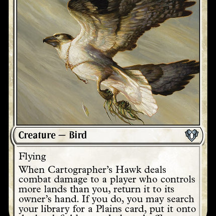 Cartographer's Hawk