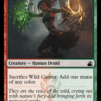 Wild Cantor