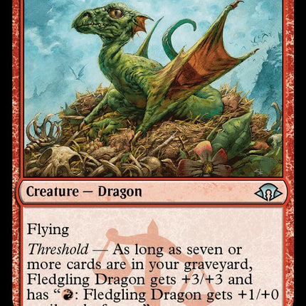 Fledgling Dragon