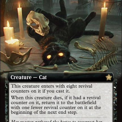 Nine-Lives Familiar (Extended Art)