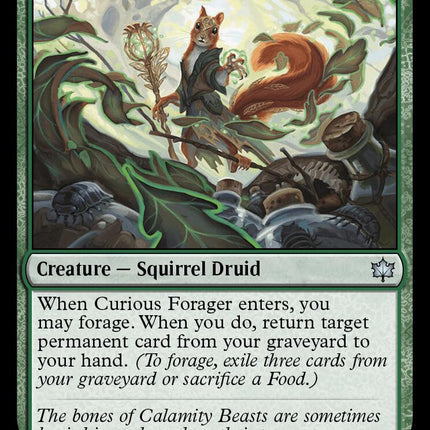 Curious Forager