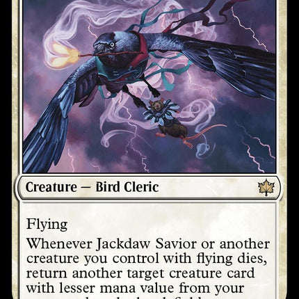 Jackdaw Savior