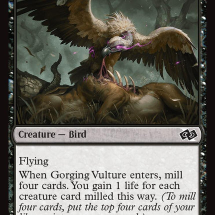Gorging Vulture