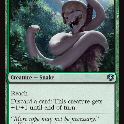 Noose Constrictor [INR - 210]
