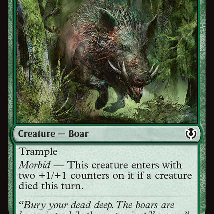 Festerhide Boar [INR - 196]