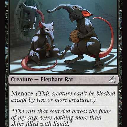 Elephant-Rat
