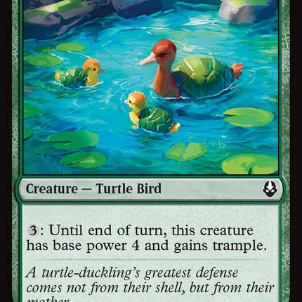 Turtle-Duck