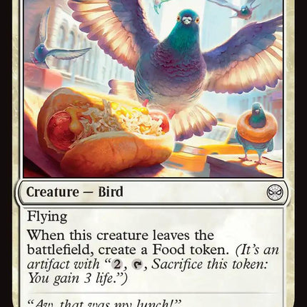 City Pigeon
