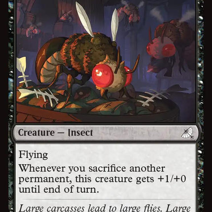 Giant Fly