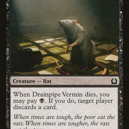 Drainpipe Vermin