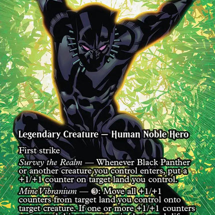Black Panther, Wakandan King (Borderless)