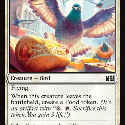 City Pigeon