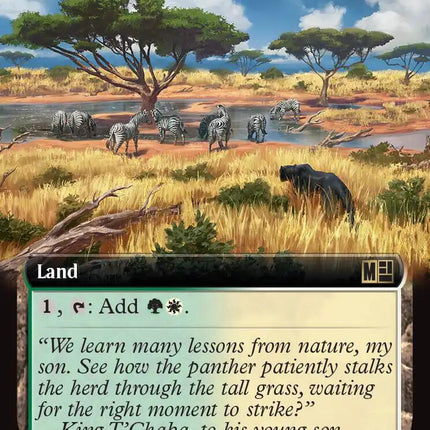Sungrass Prairie (Extended Art)