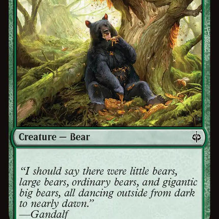 Ordinary Bear