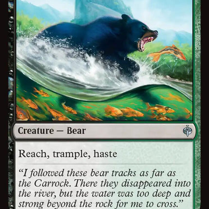 Large Bear
