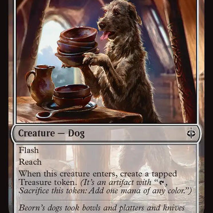 Long-Bodied Grey Dog